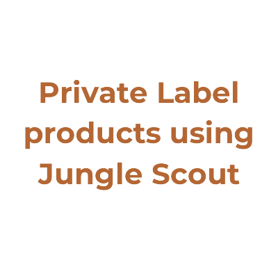 How To Find Private Label Products Using Jungle Scout