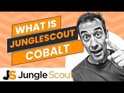 What is Jungle Scout Cobalt: features + pricing + review