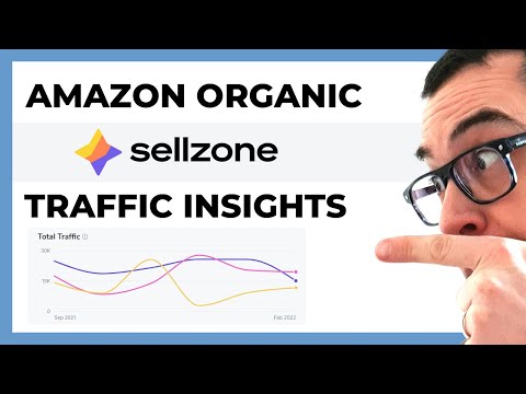 Sellzone Traffic Insights demo + Try Sellzone 1 month for $1