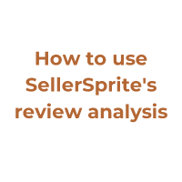 How to use SellerSprites review analysis to boost your sales